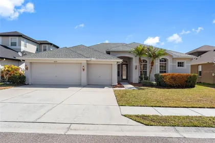 WESLEY CHAPEL FL Home