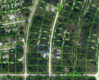 LAKE PLACID FL Property