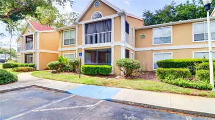 TAMPA FL Home