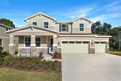 MOUNT DORA FL Home