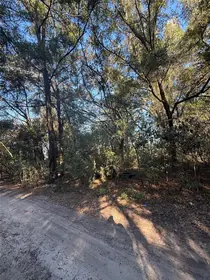 OCALA FL Property