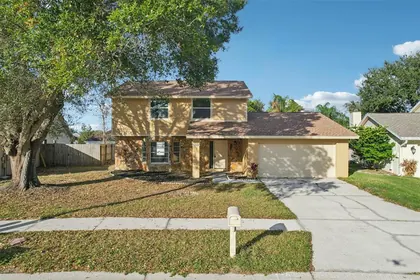 BRANDON FL Home