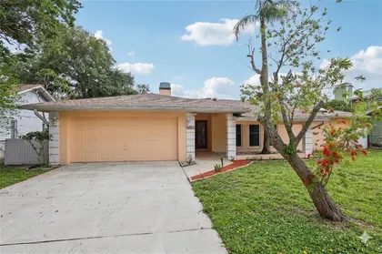 PALM HARBOR FL Home