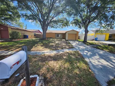 BRANDON FL Home