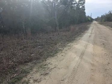 BRONSON FL Property