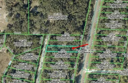 WEBSTER FL Property