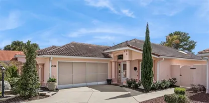 THE VILLAGES FL Home