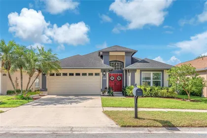 BRANDON FL Home
