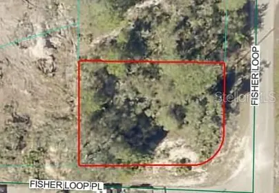 OCKLAWAHA FL Property