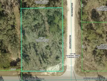 WEEKI WACHEE FL Property