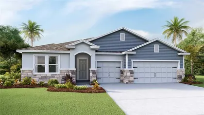 PLANT CITY FL Home