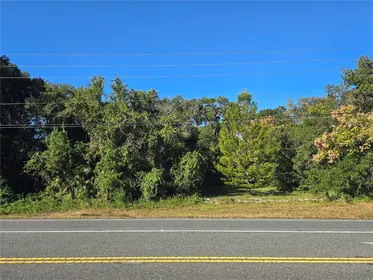 HERNANDO FL Property