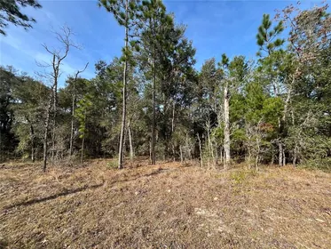 KEYSTONE HEIGHTS FL Property