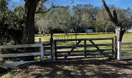 DOVER FL Property