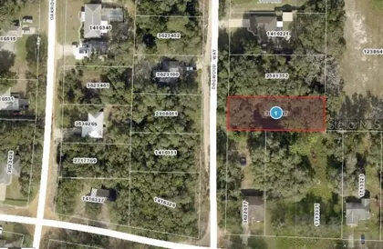 LADY LAKE FL Property
