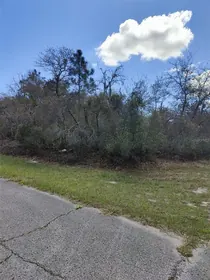KISSIMMEE FL Property
