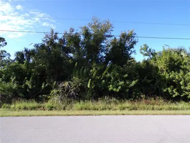 PUNTA GORDA FL Property