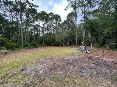 NEW PORT RICHEY FL Property