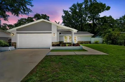 SAFETY HARBOR FL Home