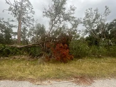 PORT CHARLOTTE FL Property