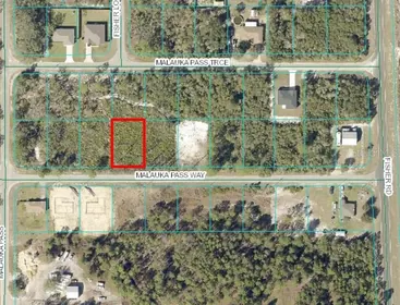OCKLAWAHA FL Property