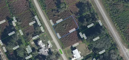 LAKE PLACID FL Property