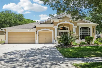 VALRICO FL Home