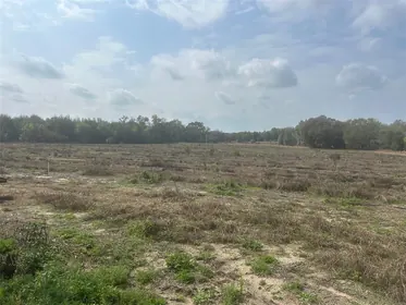 LEESBURG FL Property