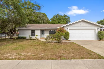 DOVER FL Home
