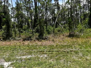 NORTH PORT FL Property