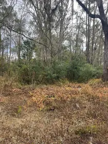 BROOKSVILLE FL Property