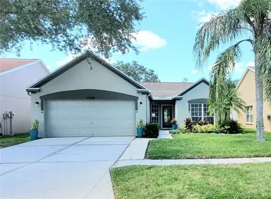 LUTZ FL Home