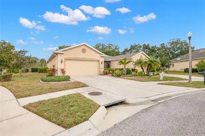 HOLIDAY FL Home