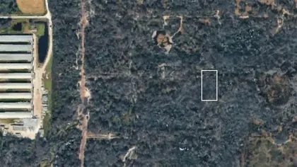 KATHLEEN FL Property