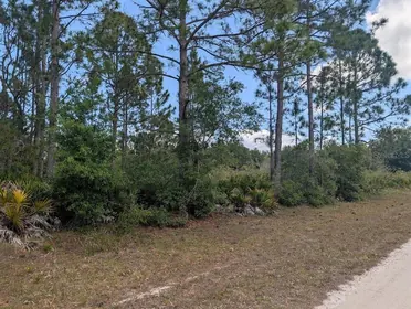 INDIAN LAKE ESTATES FL Property