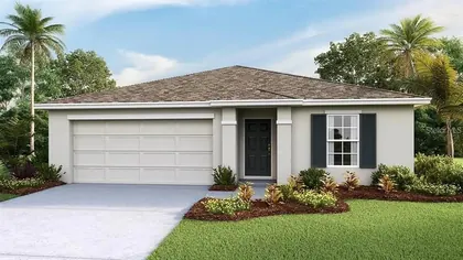 SUMMERFIELD FL Home