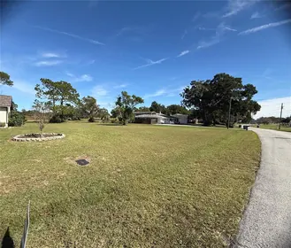 RIDGE MANOR FL Property