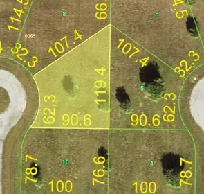 PLACIDA FL Property
