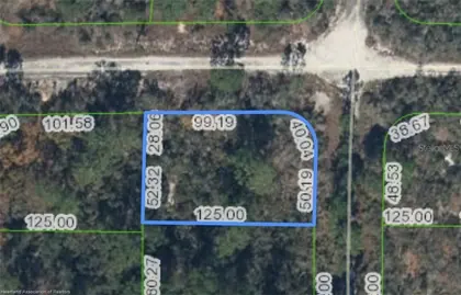 LAKE PLACID FL Property