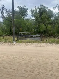 GROVELAND FL Property