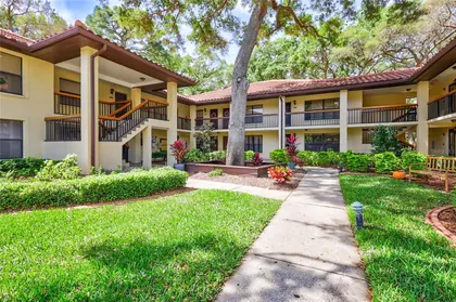 CLEARWATER FL Home