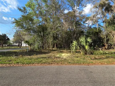 GAINESVILLE FL Property