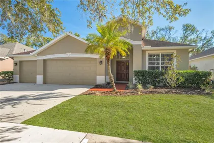 LITHIA FL Home