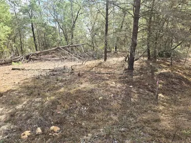 INTERLACHEN FL Property