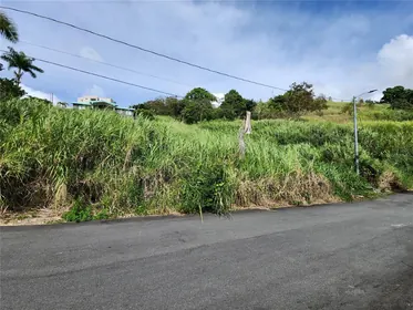 BAYAMON PR Property