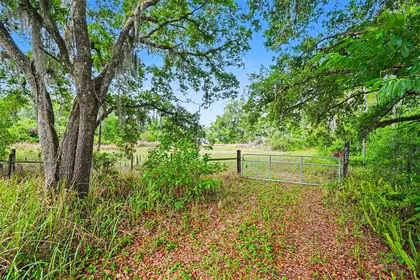 PLANT CITY FL Property