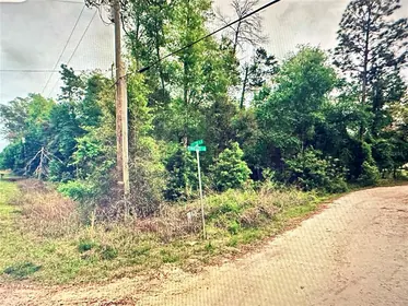 SATSUMA FL Property