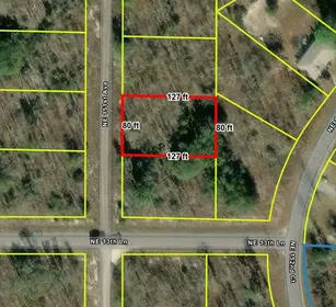 WILLISTON FL Property