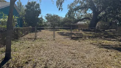 SAFETY HARBOR FL Property