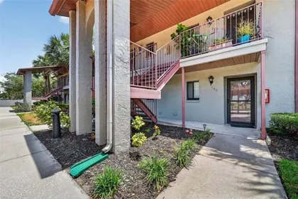 ST PETERSBURG FL Home